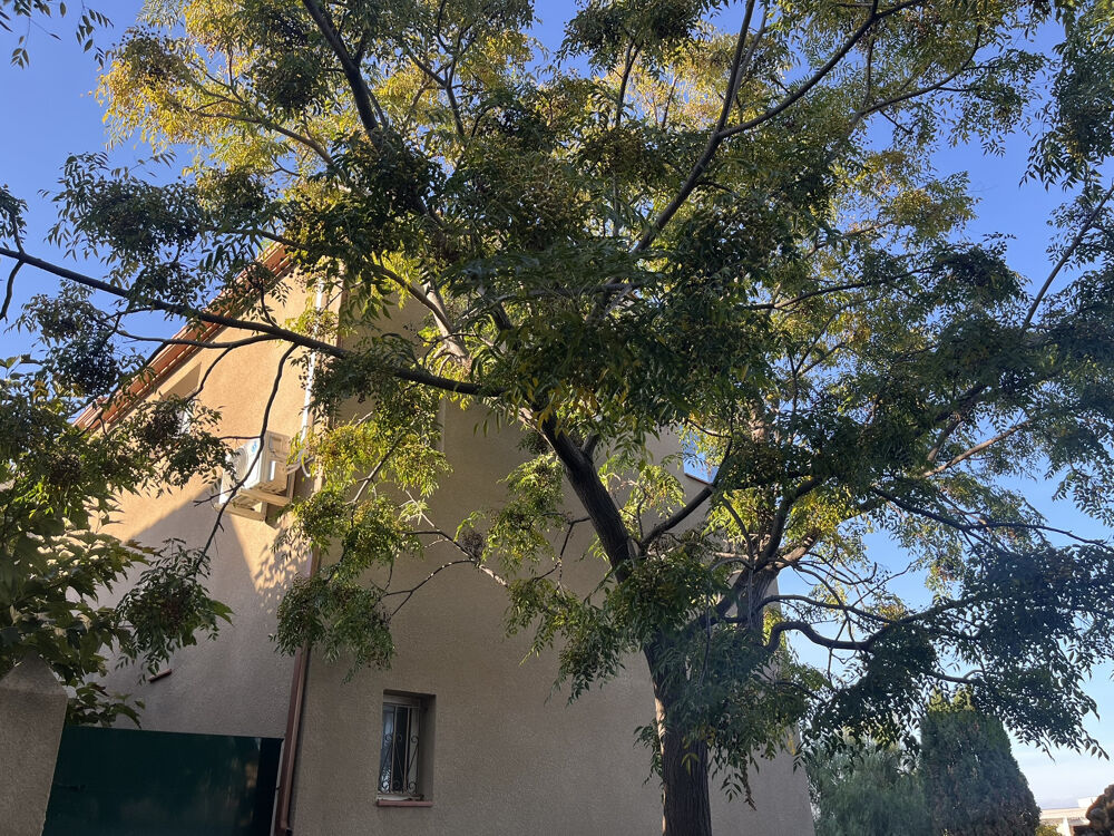 MAISON DE VILLE F4 + TERRASSE et GARAGE