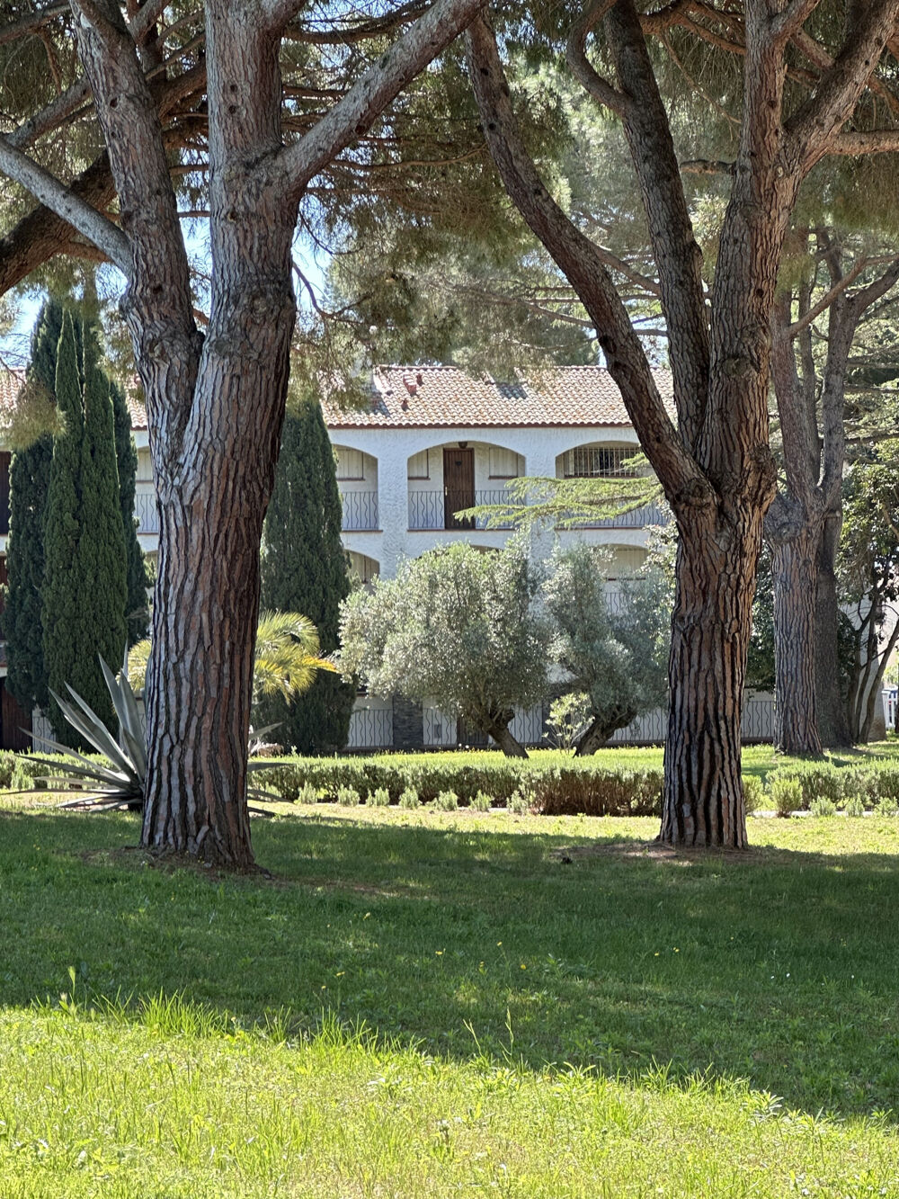 Appartement 2 chambres, piscine, à vendre à ARGELES SUR MER (66700)