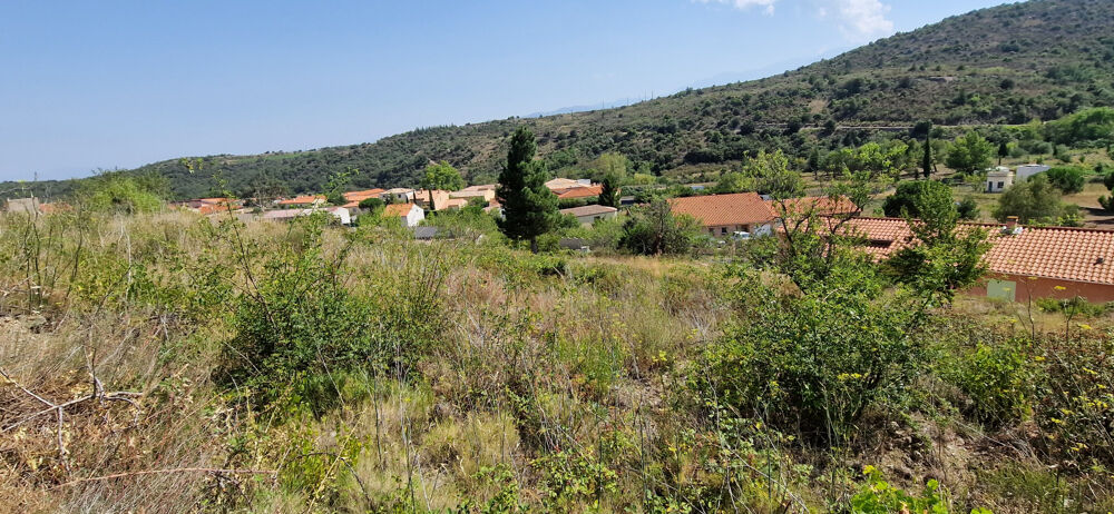 Vente Terrain 10 Mn d'ille Sur Têt (Secteur Montalba ) Trevillach