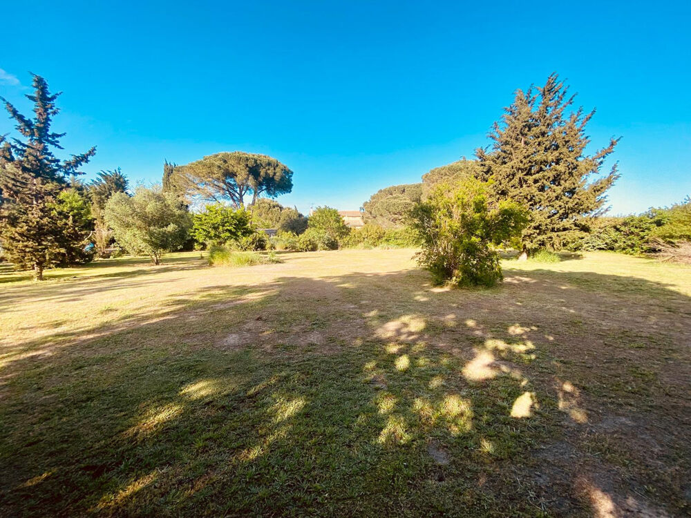 � vendre  Propri�t�/ch�teau Saint-Cyprien (66750)