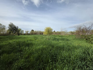  Terrain à vendre 5006 m²