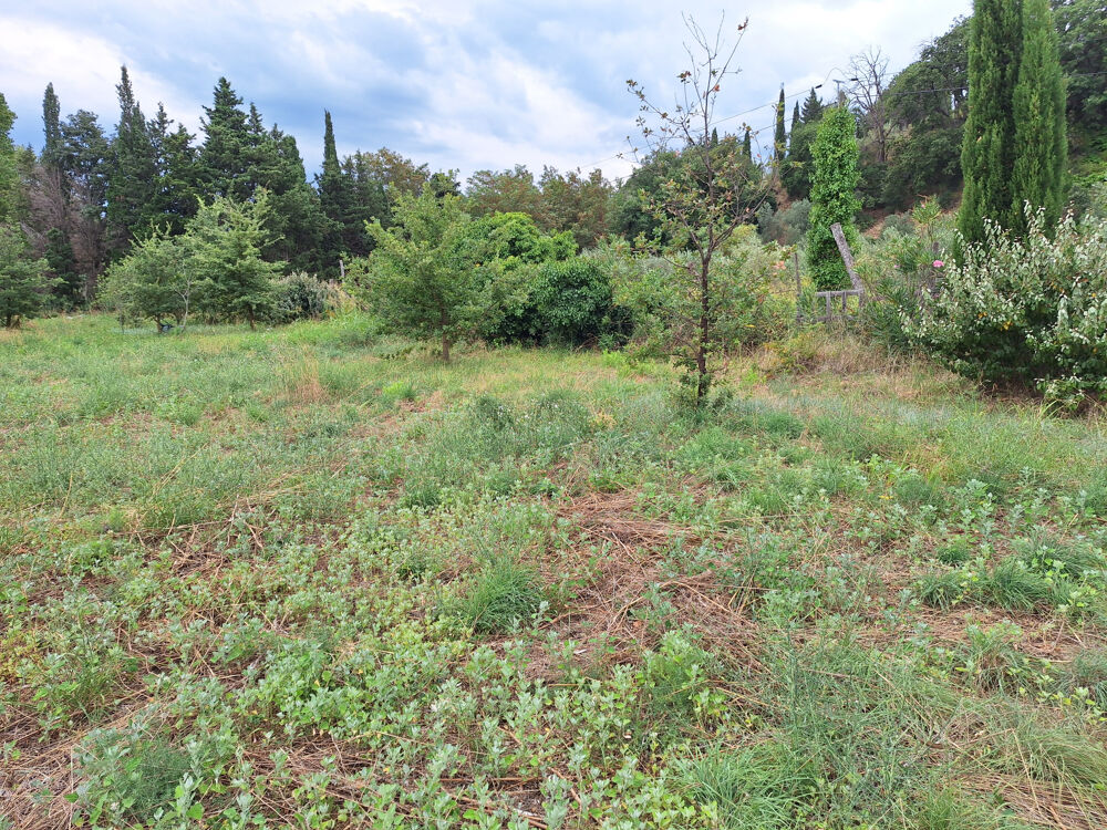 Vente Terrain TERRAIN DE LOISIR 6256M2 SECTEUR CALME Ille sur tet