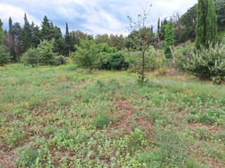  Terrain à vendre 6256 m²
