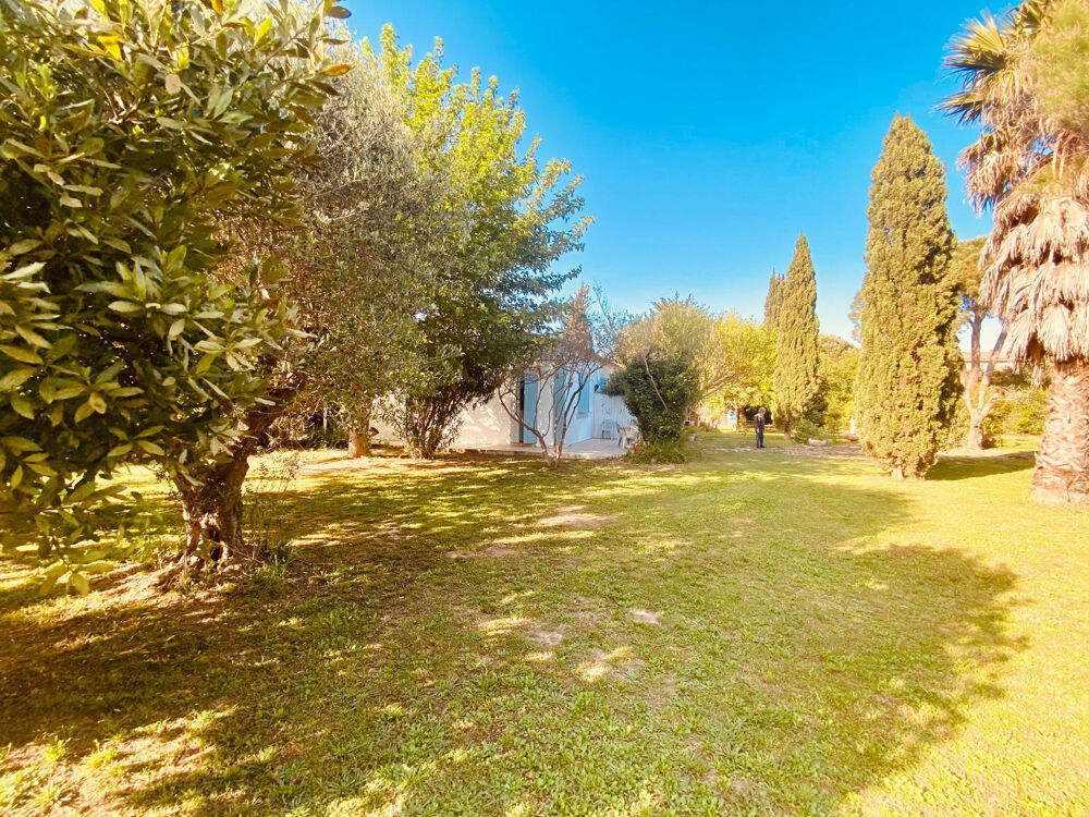 � vendre  Propri�t�/ch�teau Saint-Cyprien (66750)