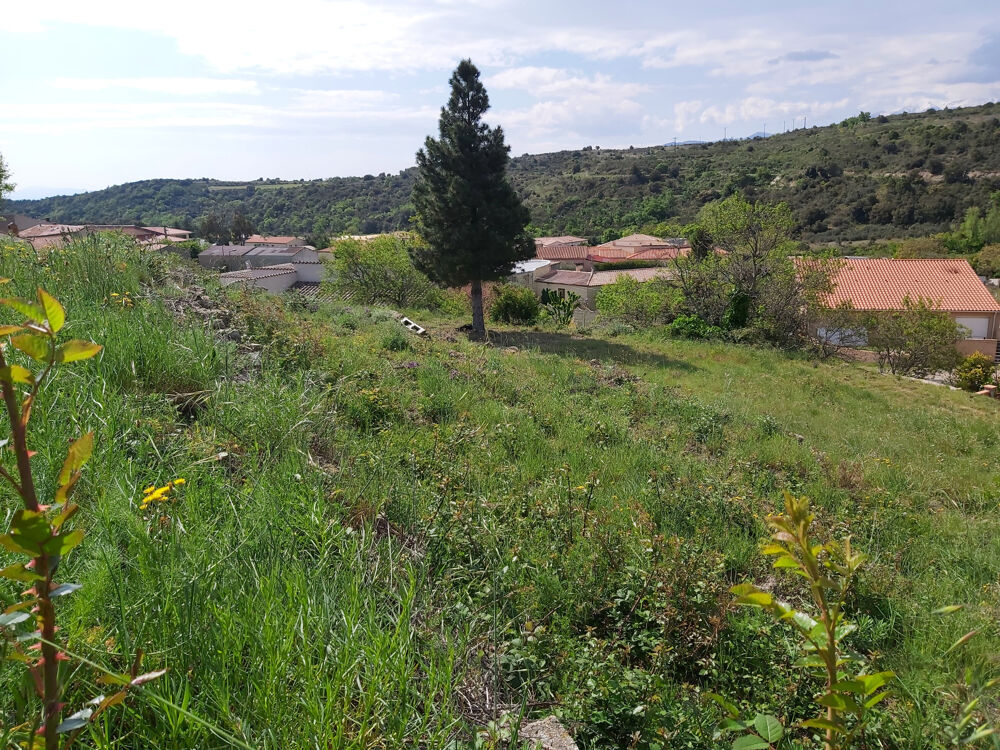 Vente Terrain 10 Mn d'ille Sur Têt (Secteur Montalba ) Trevillach