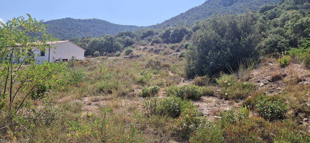 Vente Terrain A 15 mns d'ille Sur Têt - Terrain constructible de 1317 m2 - Superbe vue dégagée Montalba le chateau