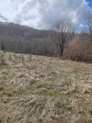  Maison � vendre 9 pi�ces 275 m�