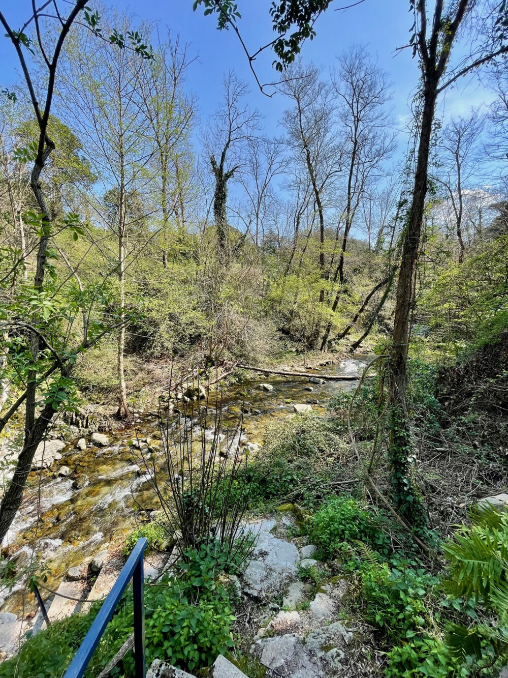 Vente Maison Vente villa Plain Pied 8 piéces Piscine Reynes 66400 Reynes