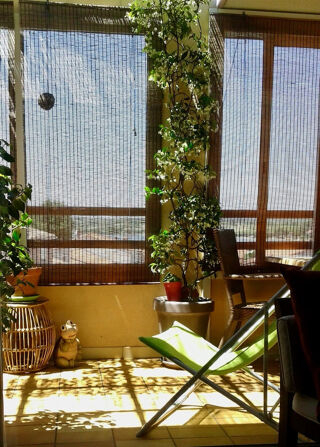  Appartement � vendre 2 pi�ces 54 m�