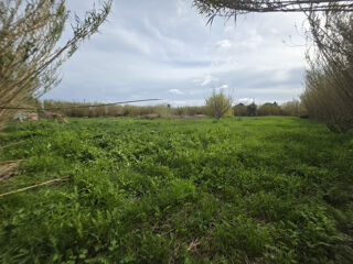  Terrain à vendre 5006 m²