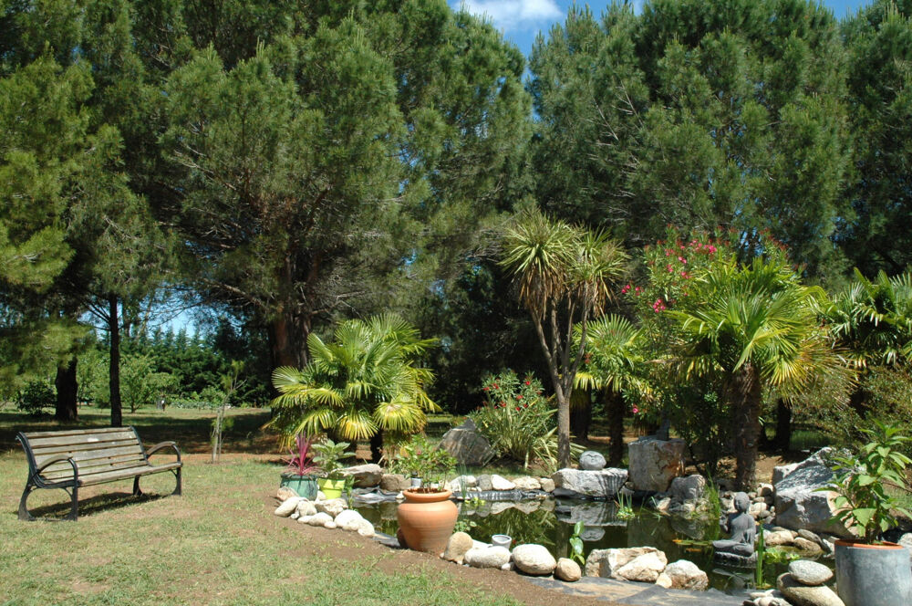 belle propriété face aux albères sur parcelle 11500 m2