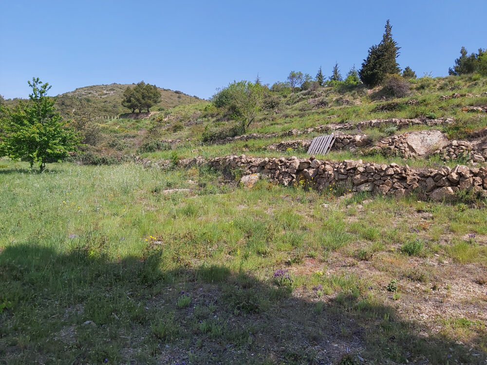 Vente Terrain 10 Mn d'ille Sur Têt (Secteur Montalba ) Trevillach
