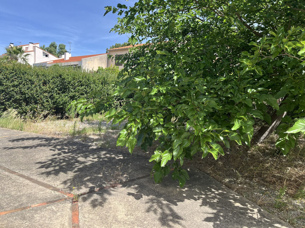 Vente Appartement APPARTEMENT de Type F4 + Garage et Jardin Cabestany