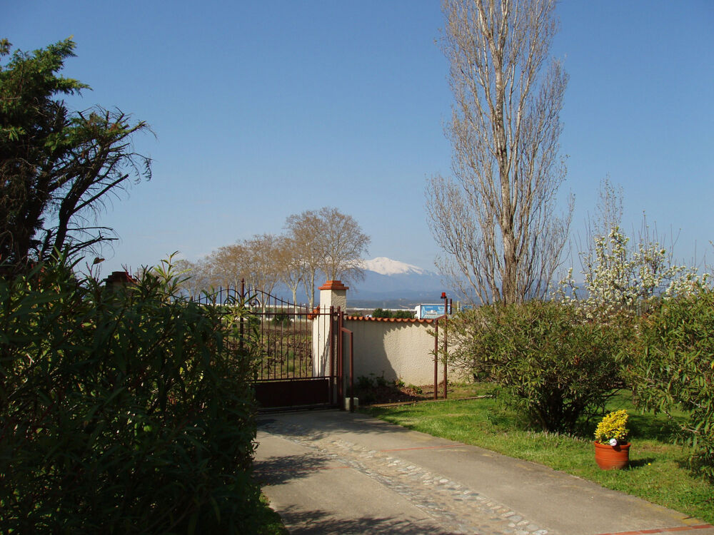 belle propriété face aux albères sur parcelle 11500 m2