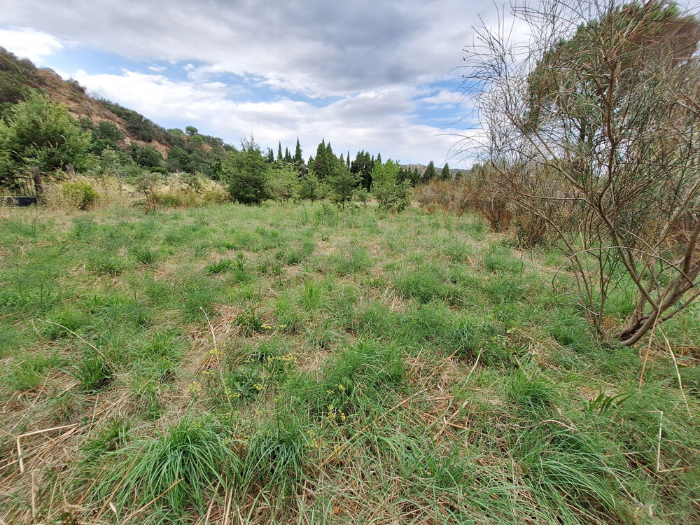 Vente Terrain TERRAIN DE LOISIR 6256M2 SECTEUR CALME Ille sur tet