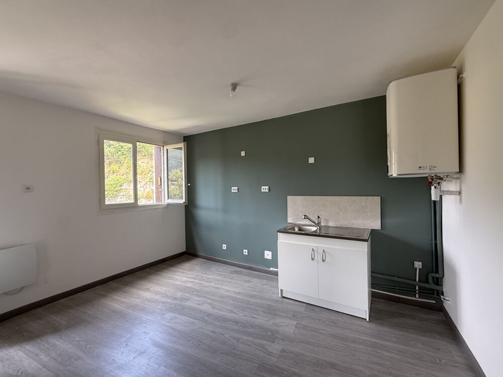 Location Appartement À louer   Appartement entièrement rénové de type F3 avec cave Amelie les bains palalda