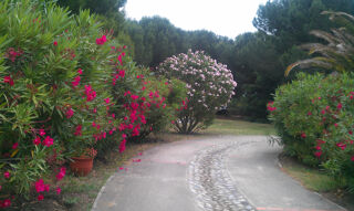  Maison  vendre 7 pices 164 m