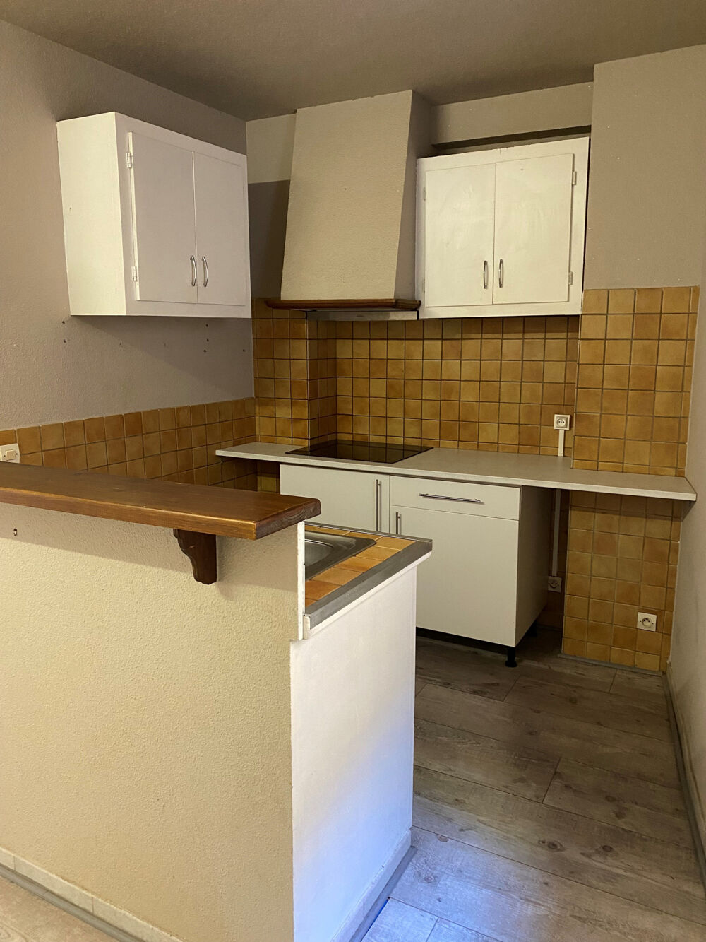 Location Duplex/Triplex ILLE SUR T ET - F 3 en Dupplex spacieux et lumineux de 95 m2 hab - Vue dégagée Ille sur tet