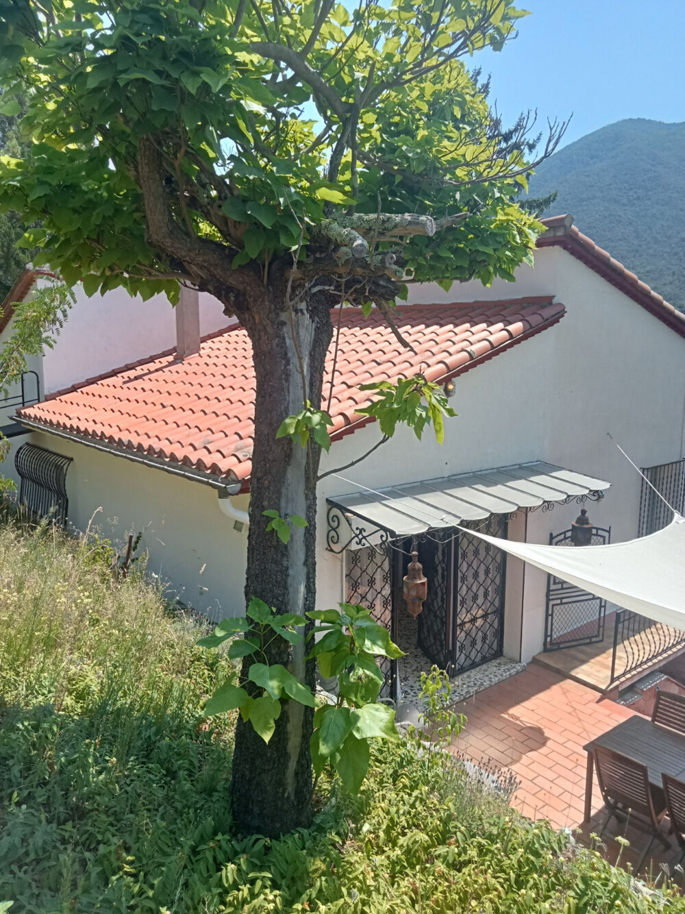 Vente Maison Joyau rare dans le sud de la France : maison avec appartement séparé, piscine chauffée et vaste terrain Arles sur tech