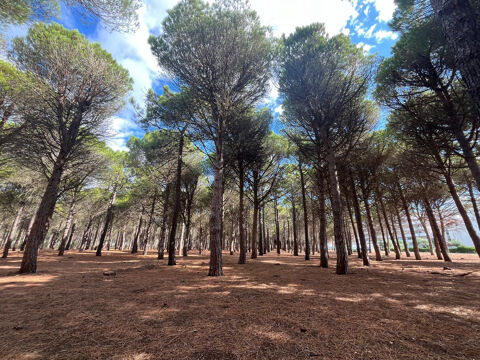  Maison � louer 3 pi�ces 58 m�