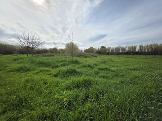 Terrain à vendre 5006 m²