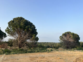  Terrain � vendre 222 m�