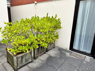  Appartement à louer 1 pièce 23 m²