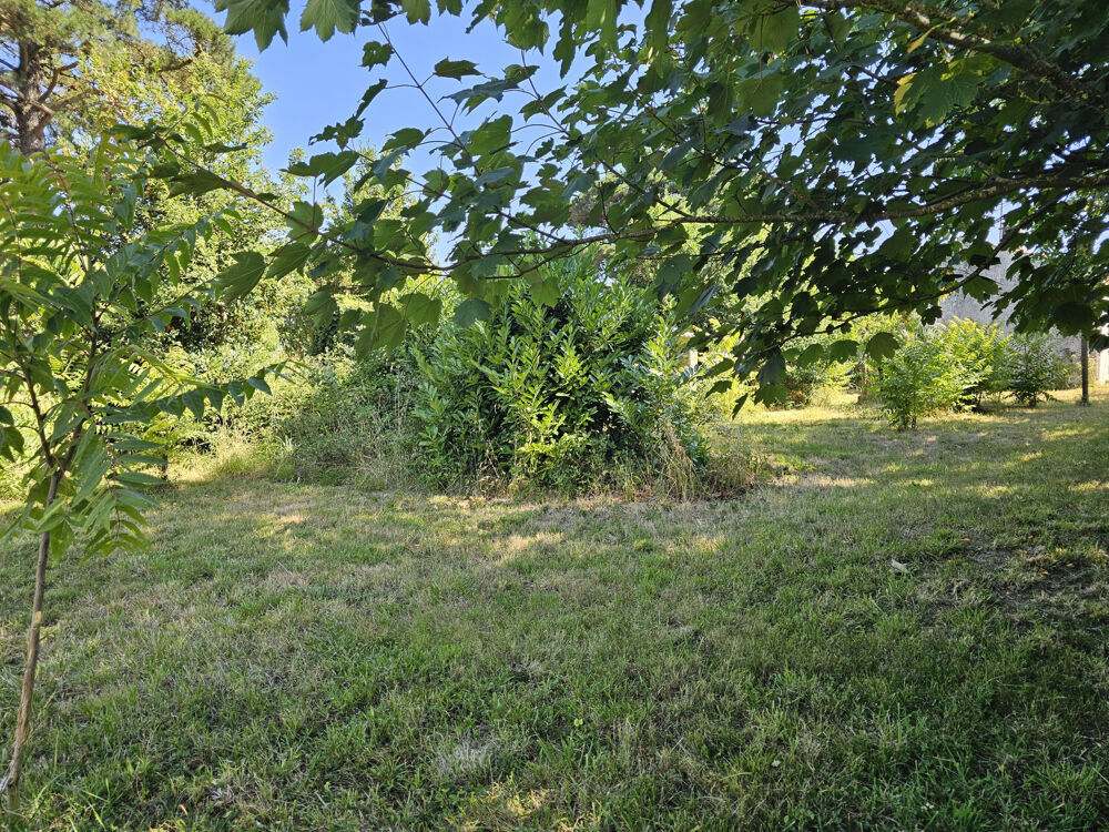 Vente Maison VAIRE - faire offre ! Vaire