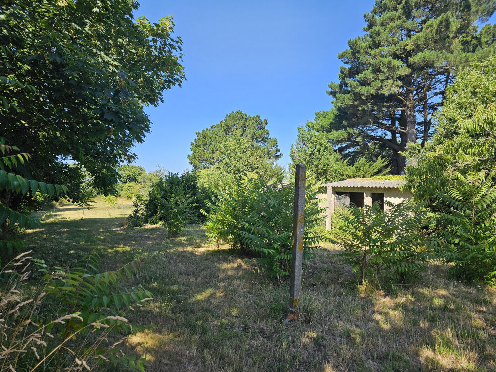 Vente Maison VAIRE - faire offre ! Vaire