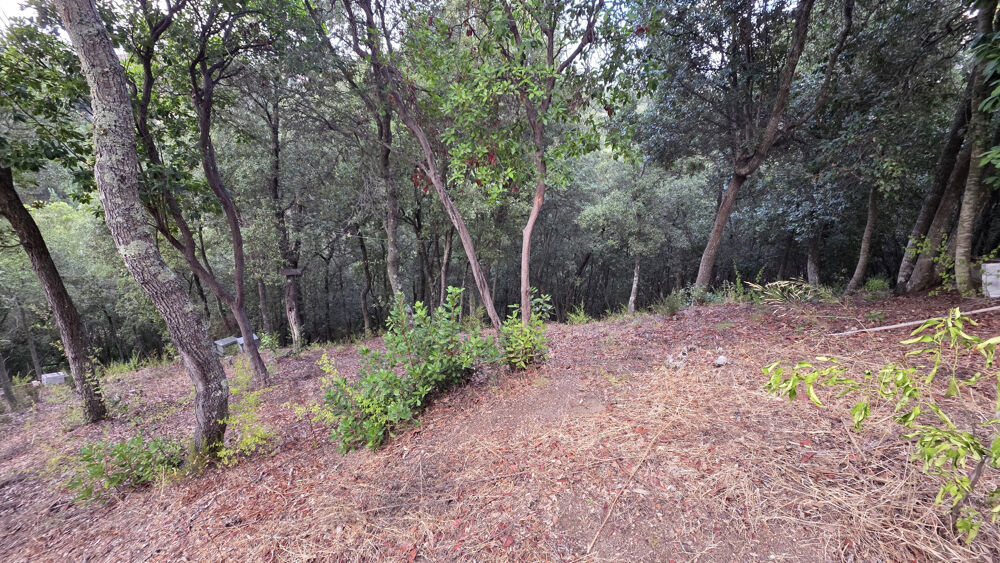 Vente Terrain Terrain à batir arboré de 1500 m2  à ALATA Alata