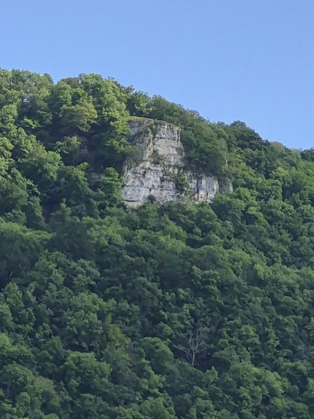 Vente Terrain Terrain de 1500 m En vallée du Doubs Ougney douvot