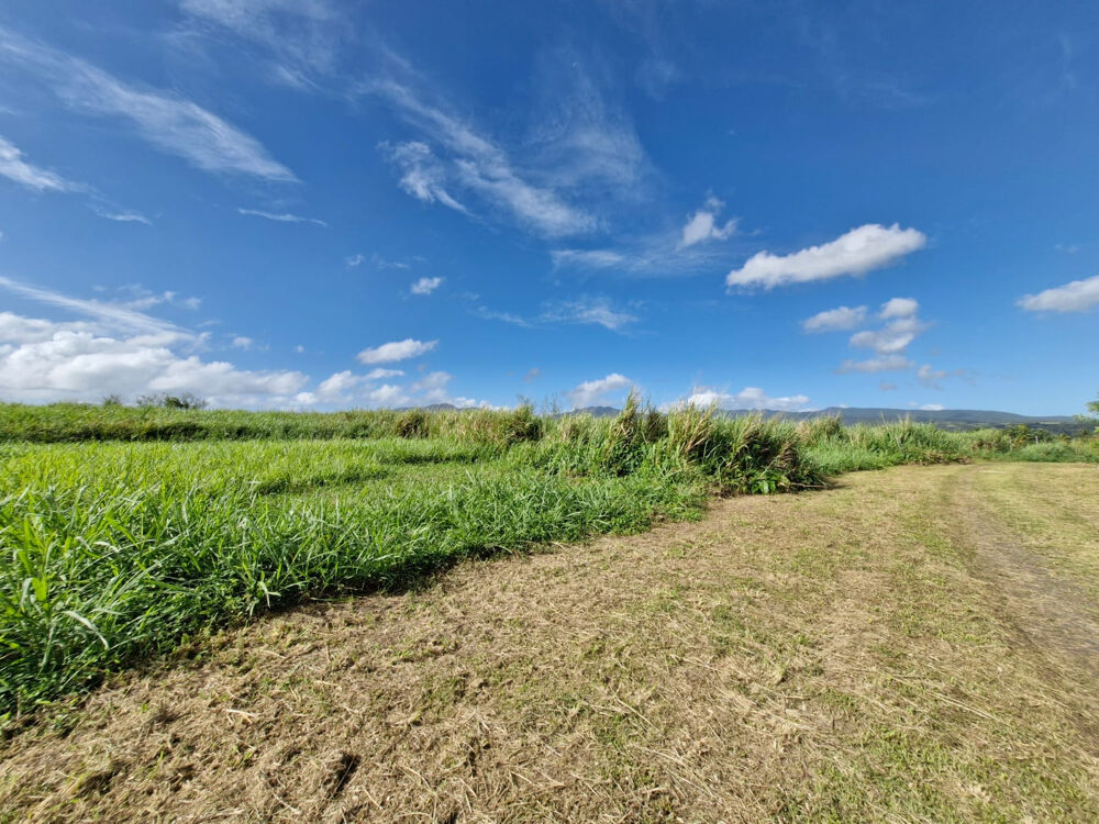 Vente Terrain Terrain à batir - Section Caiiloux au  Lamentin 590m2 Lamentin
