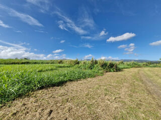  Terrain à vendre 590 m²