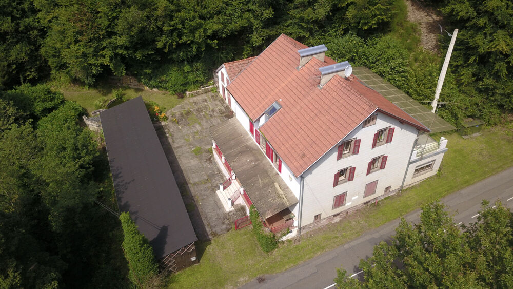 VOSGES DU NORD ATYPIQUE IMMEUBLE 292 m2 12 Pièces