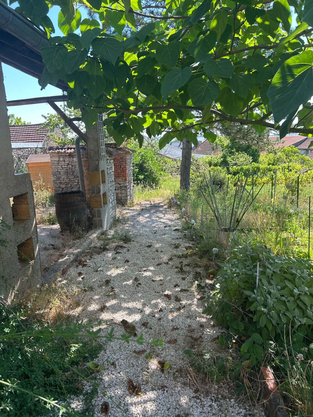 maison avec garage et terrain