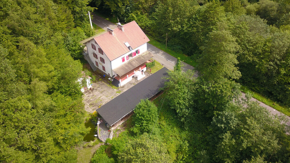 VOSGES DU NORD ATYPIQUE IMMEUBLE 292 m2 12 Pièces
