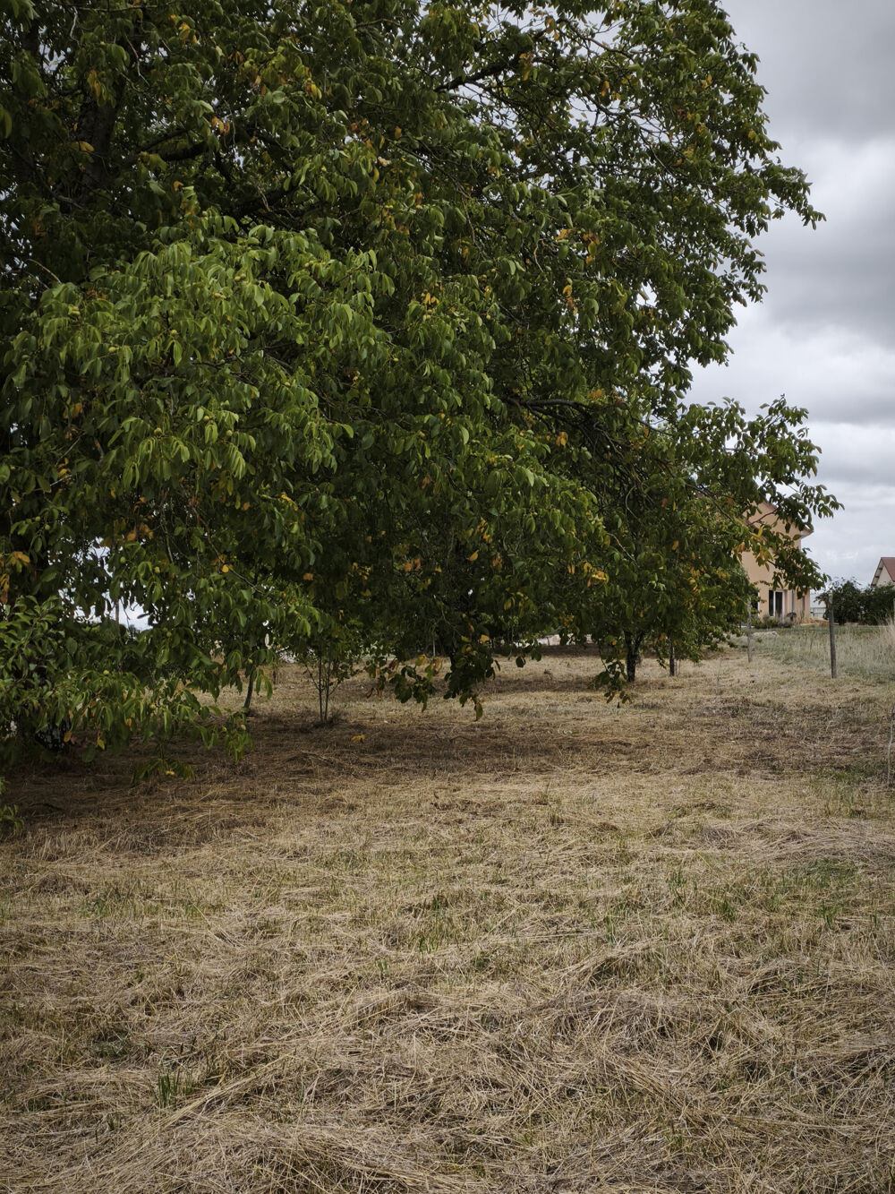 Vente Maison maison de village 77 m2 sur un terrain de 1670 ,m2 Ainvelle
