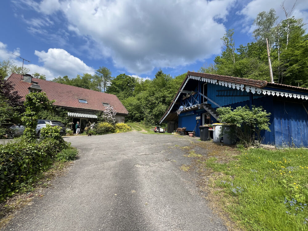 à vendre  Propriété/château Fresse (70270)