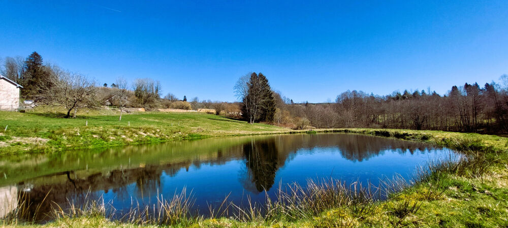 Vente Maison Ancienne ferme à renover avec étang,3 hectares de terrain La longine