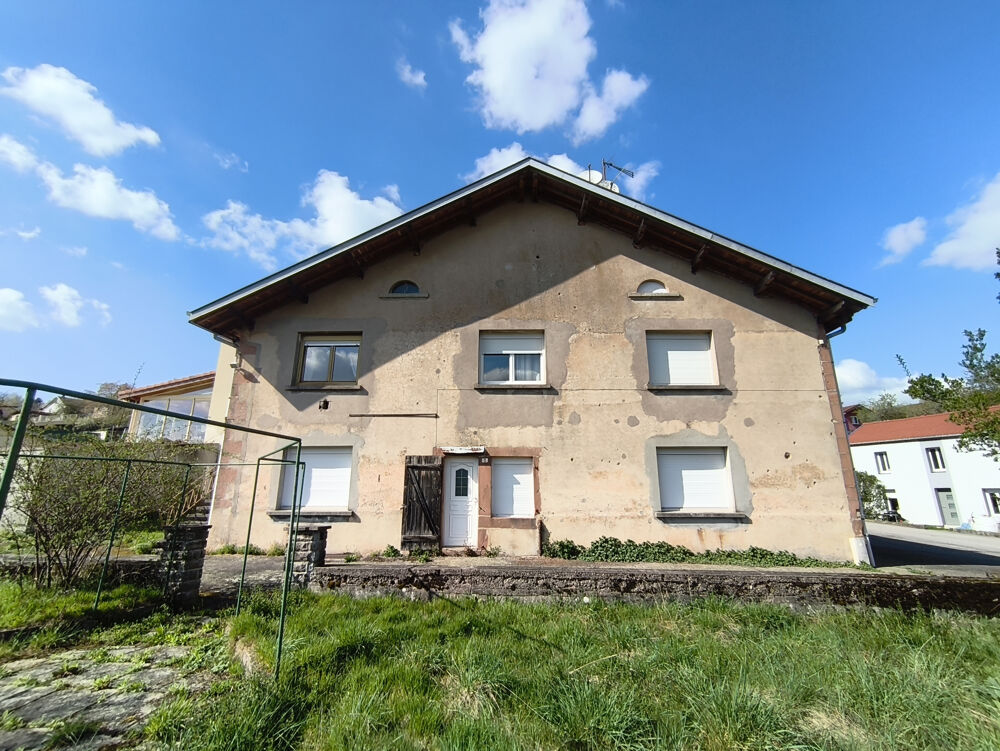 Vente Maison LÉPANGES-SUR-VOLOGNE   220 M2   2 LOGEMENTS   IMPORTANTES DÉPENDANCES   TERRAIN 1 378 M2 Lepanges sur vologne