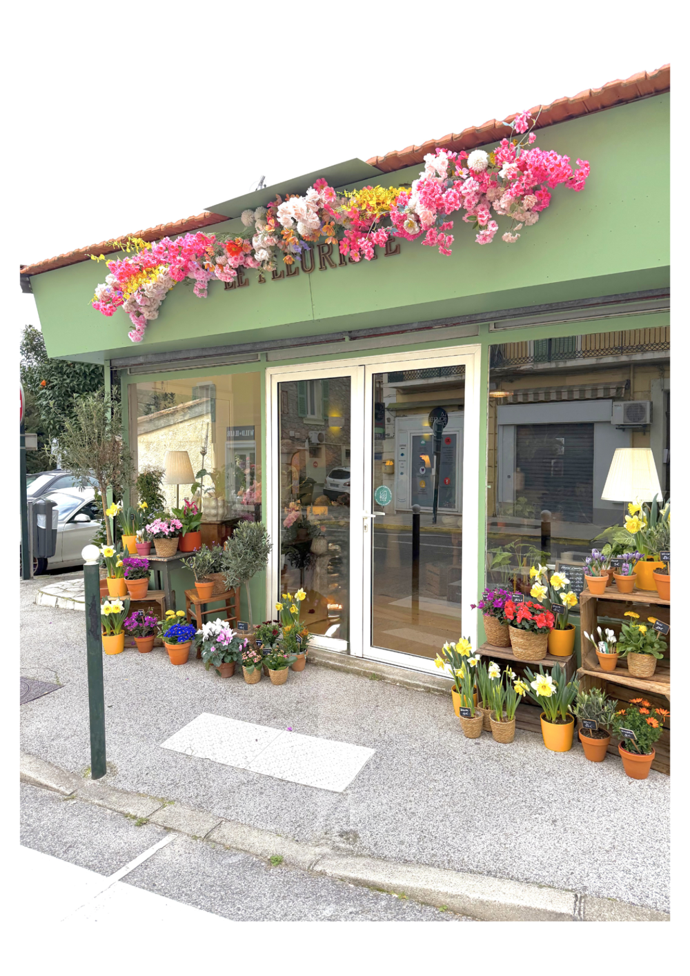   FONDS DE COMMERCE DE FLEURISTE 