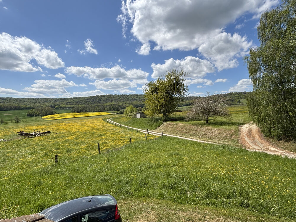 Vente Maison A r�nover deux maisons anciennes avec d�pendances et vue campagne   Voisey (Haute-Marne) Voisey