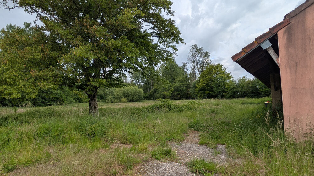 maison à rénover avec 13 000m2 terrain
