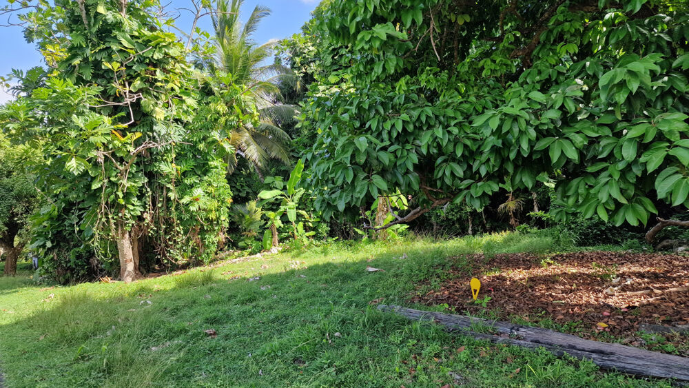 Vente Terrain Beau terrain 3 191 m2 Petit bourg