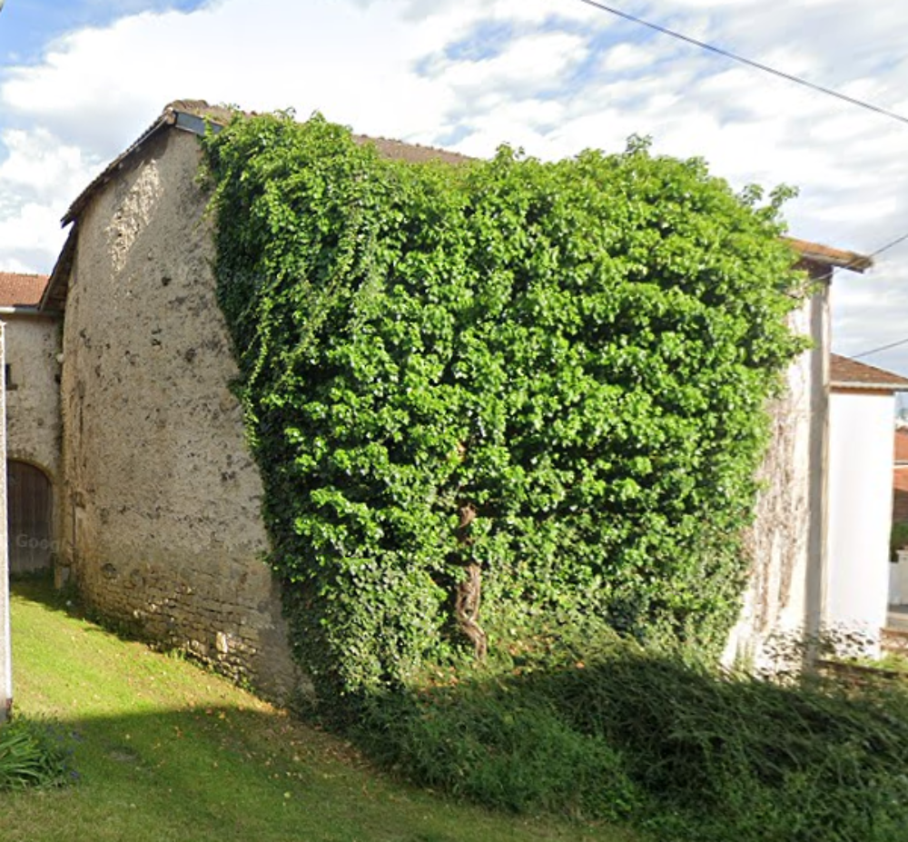 Vente Maison maison ancienne a rénover complètement Melay