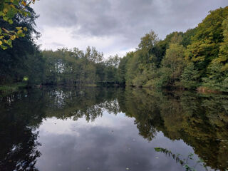  Terrain  vendre 46300 m