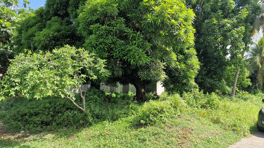 Vente Terrain Beau terrain 3 191 m2 Petit bourg