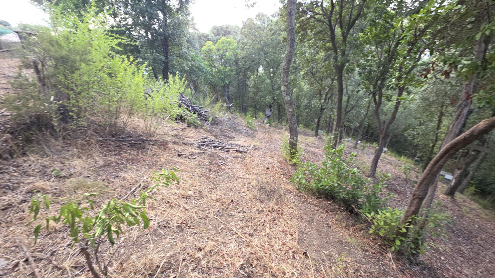 Vente Terrain Terrain à batir arboré de 1500 m2  à ALATA Alata