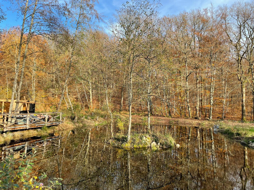 Vente Terrain Terrain 4,63 ha avec 4 étangs au calme Belmont
