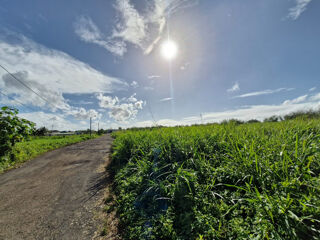  Terrain à vendre 590 m²